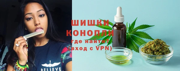 ешки Медногорск