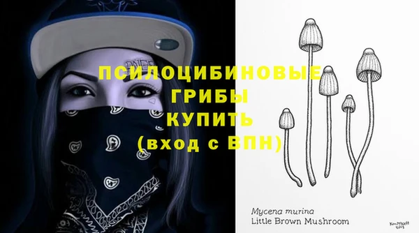 марки nbome Медвежьегорск