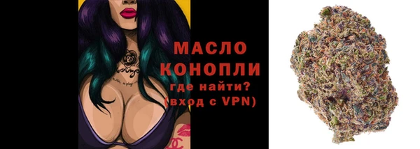 ешки Медногорск