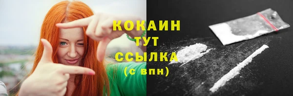 ешки Медногорск