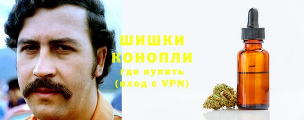 шишки Аксай