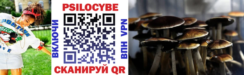 Псилоцибиновые грибы Psilocybe Щёкино