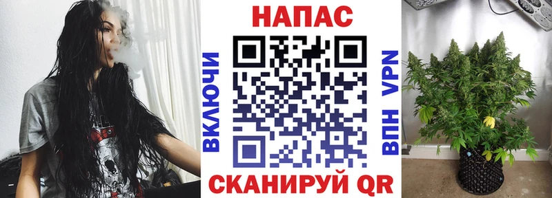 мега ССЫЛКА  дарк нет официальный сайт  Шишки марихуана OG Kush  Щёкино 